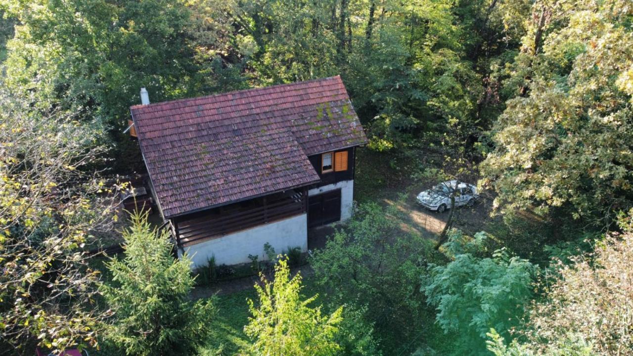 Wooden House Near The River Kupa Kamanje Экстерьер фото